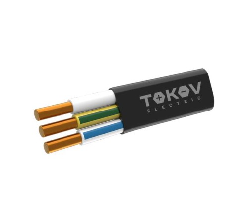 Кабель TOKOV ELECTRIC ППГ-Пнг(А)-HF 3х6 ОК (N PE) 0.66кВ (м) ТХМ00409111 Кабель TOKOV ELECTRIC ППГ-Пнг(А)-HF 3х6 ОК (N PE) 0.66кВ (м) ТХМ00409111